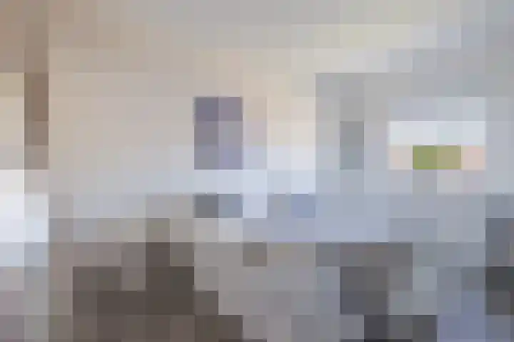 Helmhout 167 Joure thumbnail 44