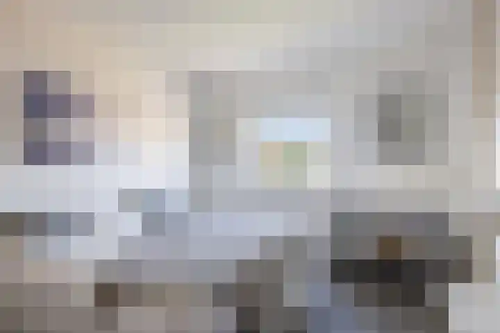 Helmhout 167 Joure thumbnail 45