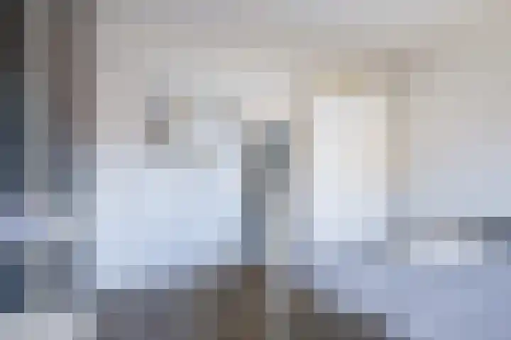 Helmhout 167 Joure thumbnail 46