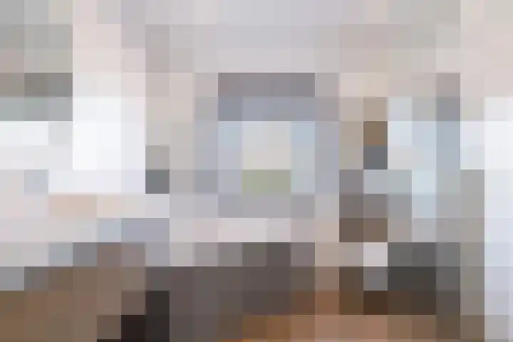 Helmhout 167 Joure thumbnail 47