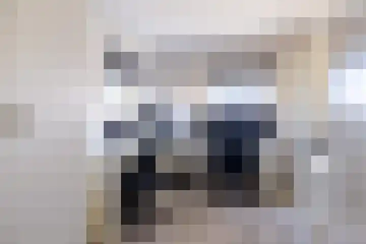 Helmhout 167 Joure thumbnail 49