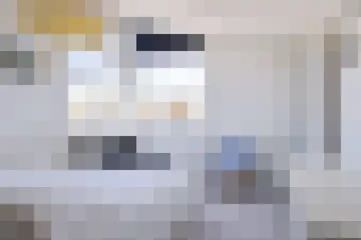 Helmhout 167 Joure thumbnail 51