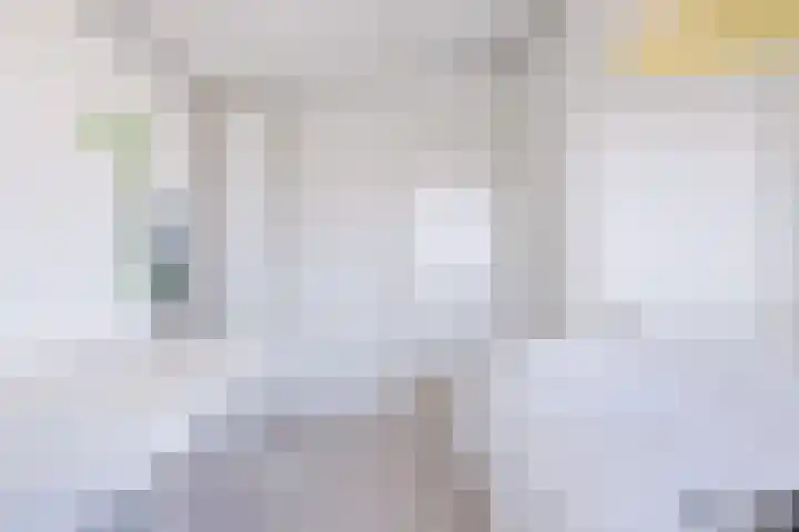 Helmhout 167 Joure thumbnail 52