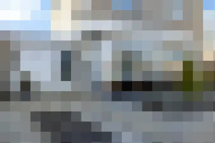 Helmhout 167 Joure thumbnail 6