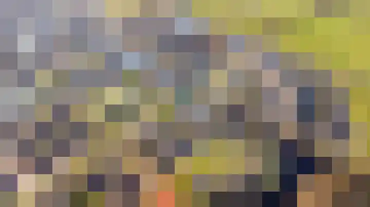 Helmhout 167 Joure thumbnail 64