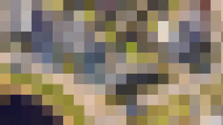 Helmhout 167 Joure thumbnail 67