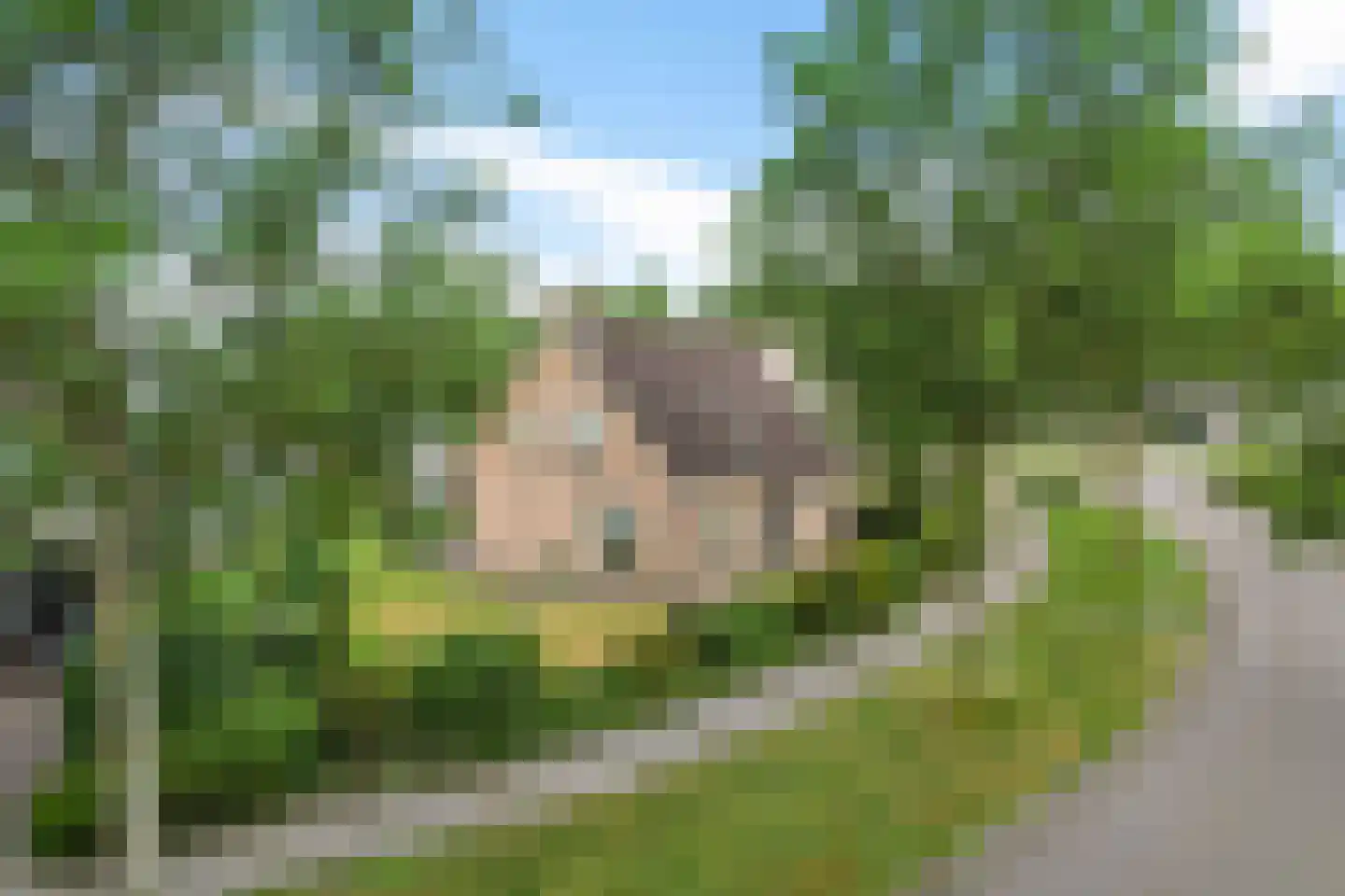 Helmhout 33 Joure foto 2