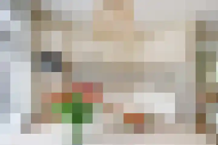Helmhout 4 Joure thumbnail 10