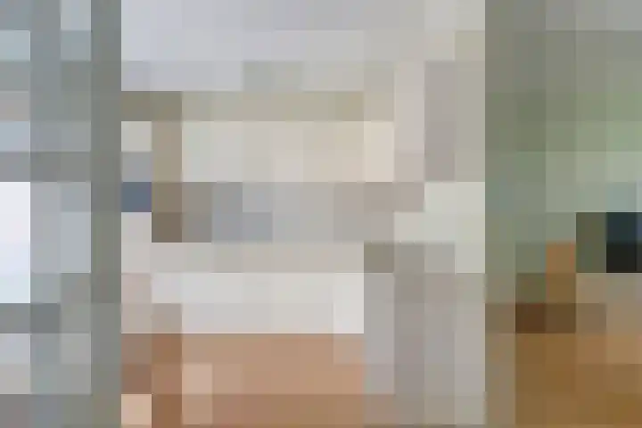 Helmhout 4 Joure thumbnail 12
