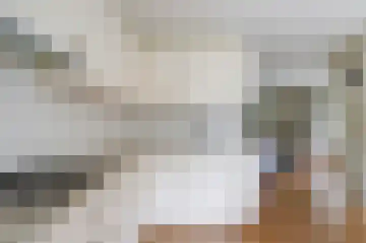 Helmhout 4 Joure thumbnail 13