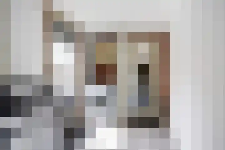 Helmhout 4 Joure thumbnail 15