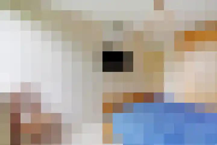 Helmhout 4 Joure thumbnail 19