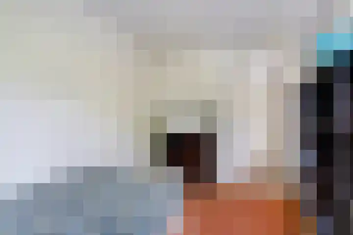 Helmhout 4 Joure thumbnail 21