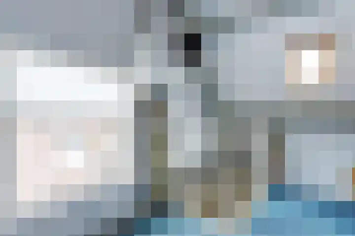 Helmhout 4 Joure thumbnail 26