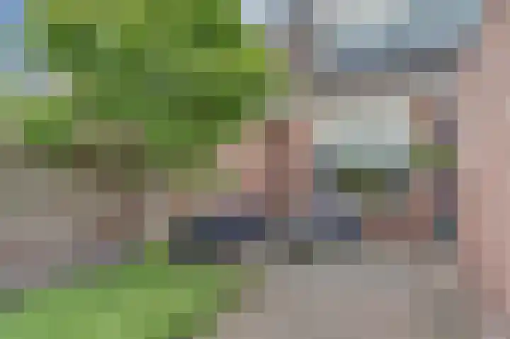 Helmhout 4 Joure thumbnail 31