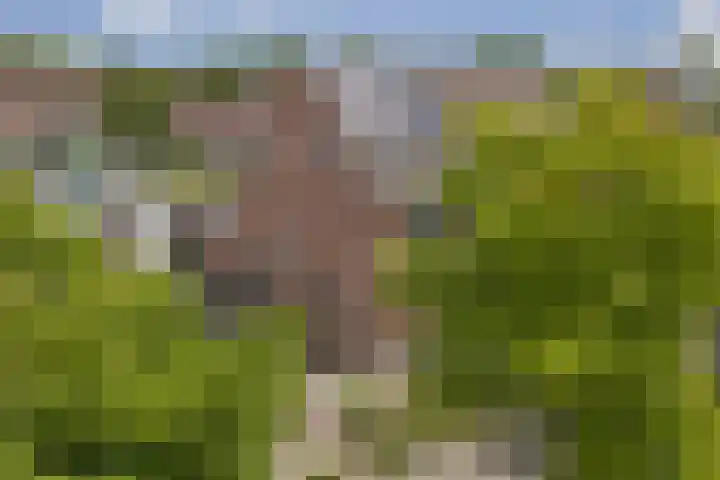 Helmhout 4 Joure thumbnail 32