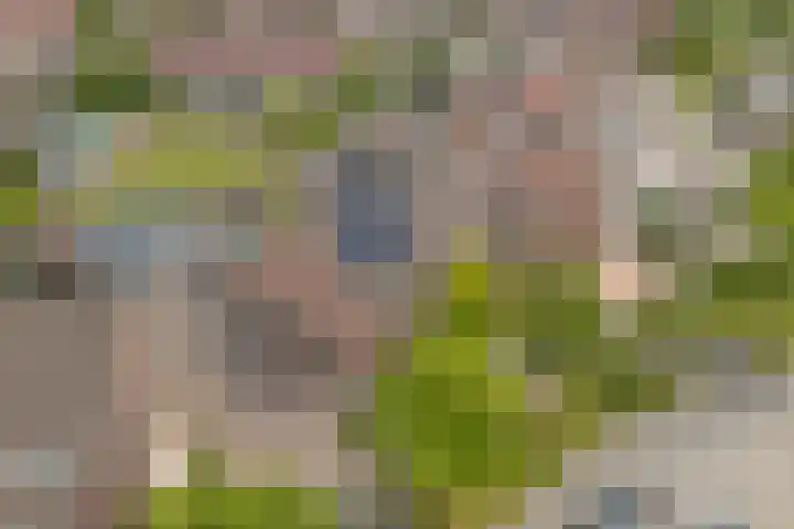 Helmhout 4 Joure thumbnail 33