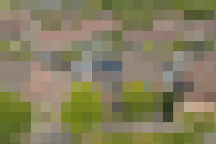 Helmhout 4 Joure thumbnail 34