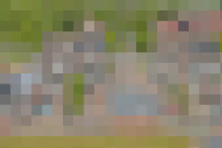 Helmhout 4 Joure thumbnail 35