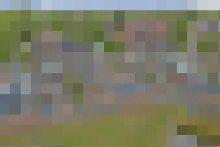 Helmhout 4 Joure thumbnail 36