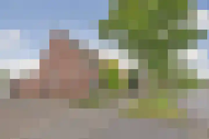Helmhout 4 Joure thumbnail 37