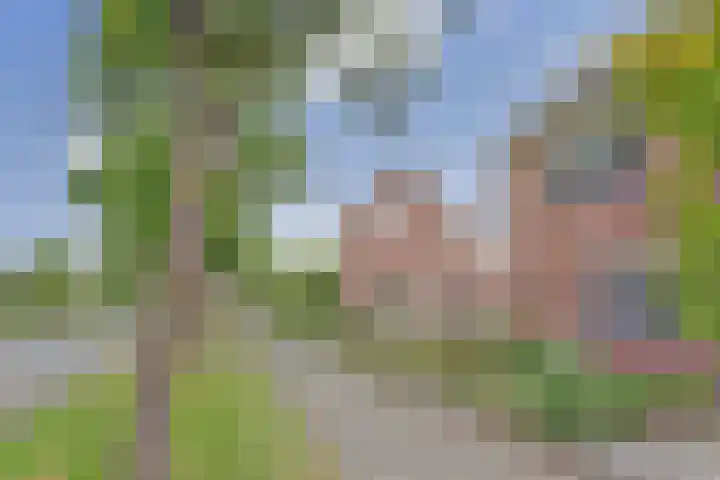 Helmhout 4 Joure thumbnail 38