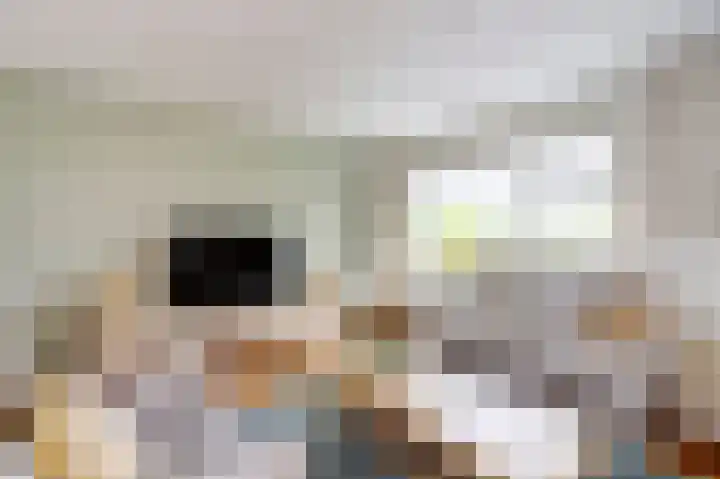 Helmhout 4 Joure thumbnail 7