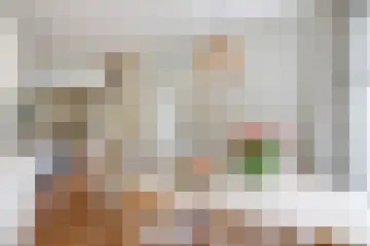 Helmhout 4 Joure thumbnail 9