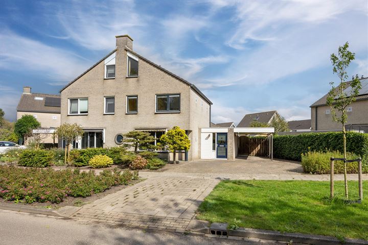 Helmhout 80 in Joure photo