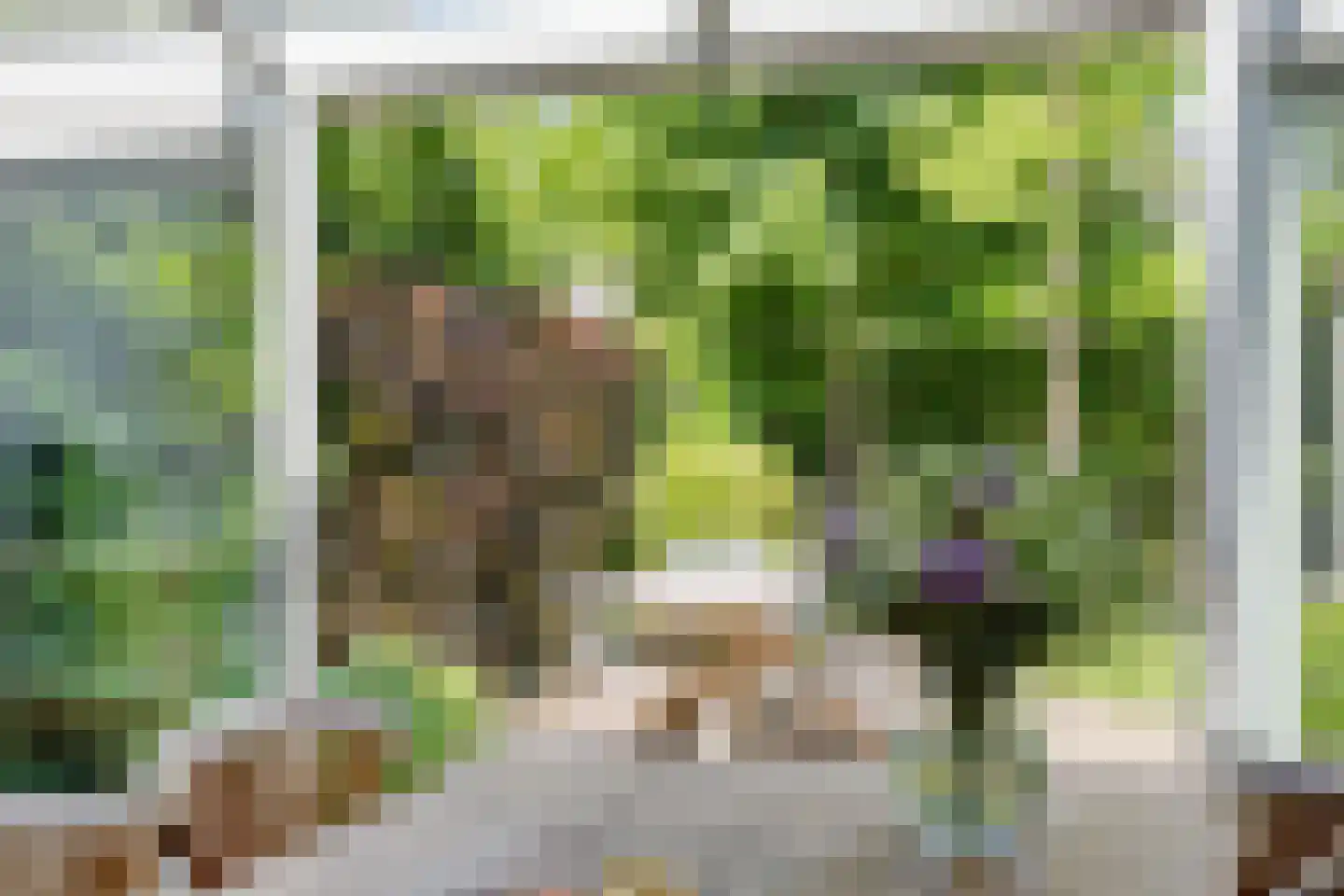 Helmichmarke 2 Zwolle thumbnail 15