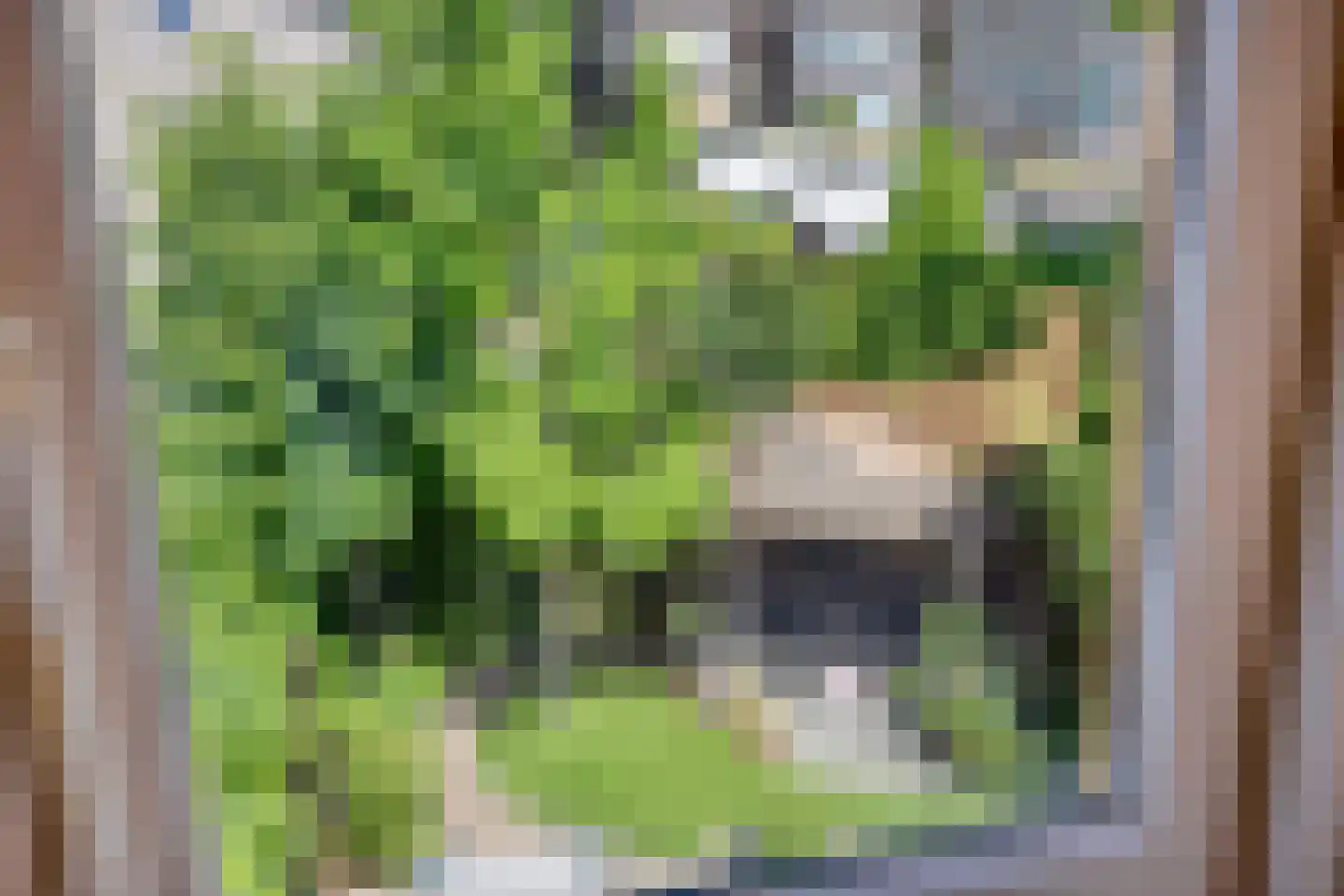 Helmichmarke 2 Zwolle thumbnail 33