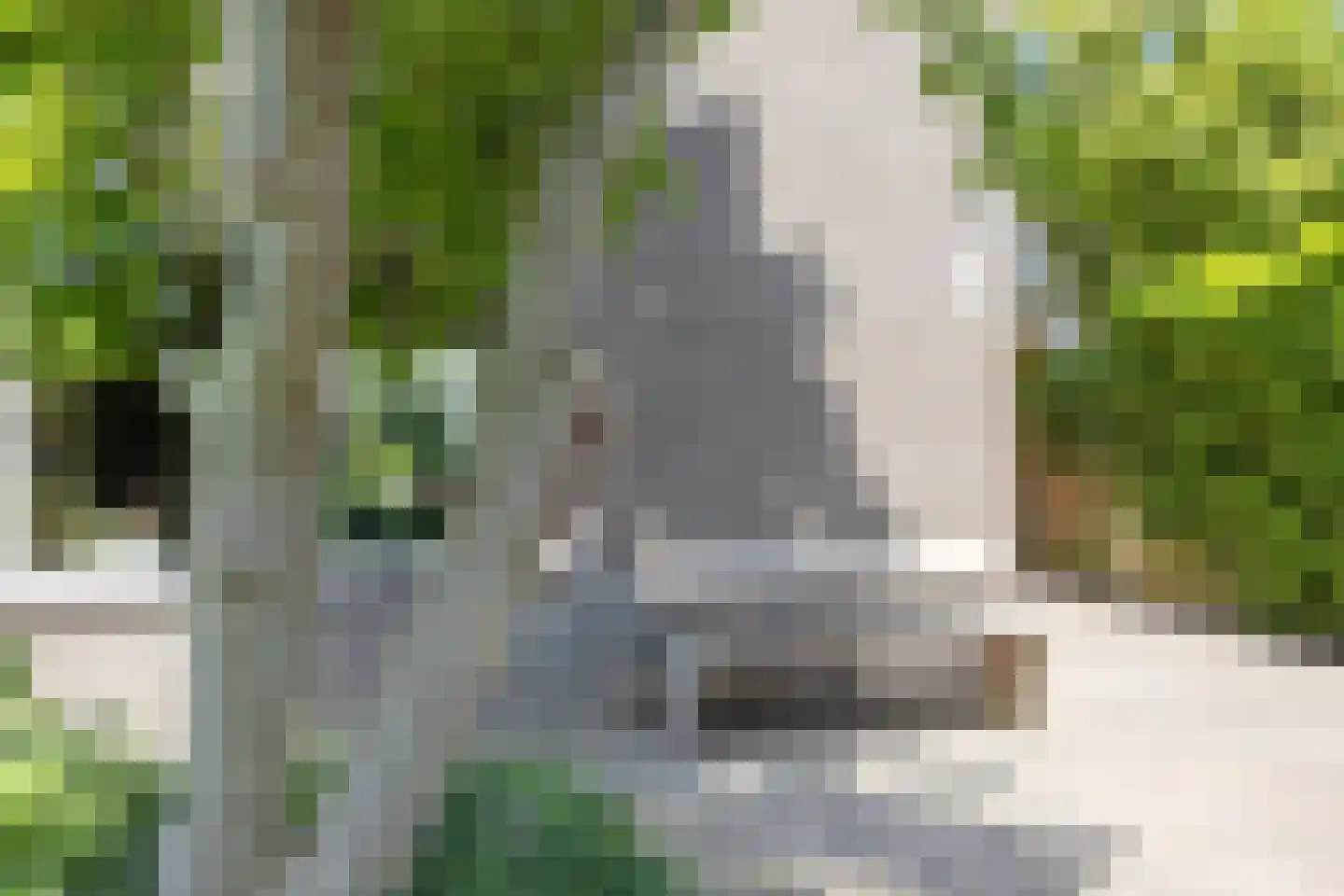 Helmichmarke 2 Zwolle thumbnail 51