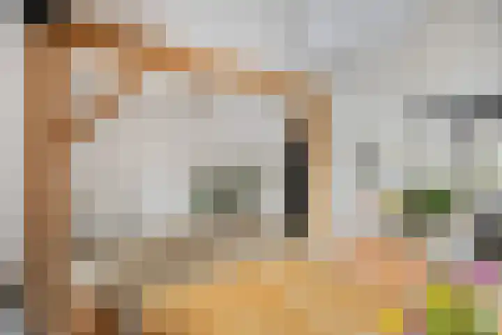 Helmichstraat 14 Luttenberg thumbnail 12
