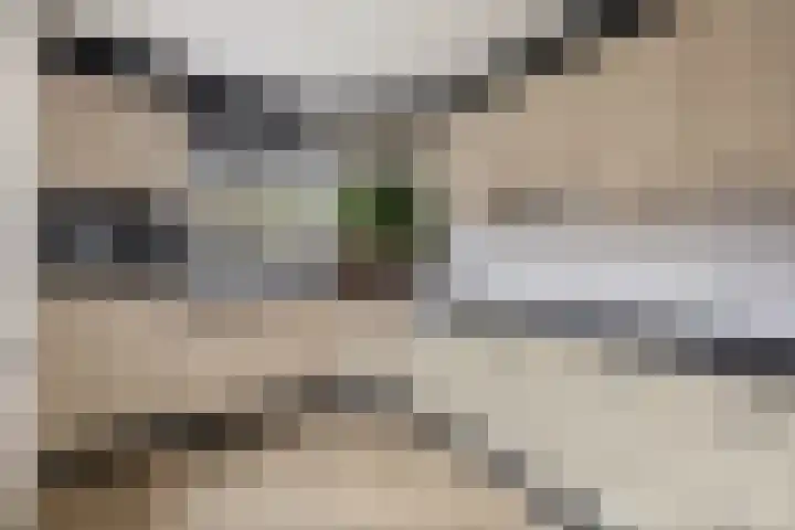 Helmichstraat 14 Luttenberg thumbnail 14