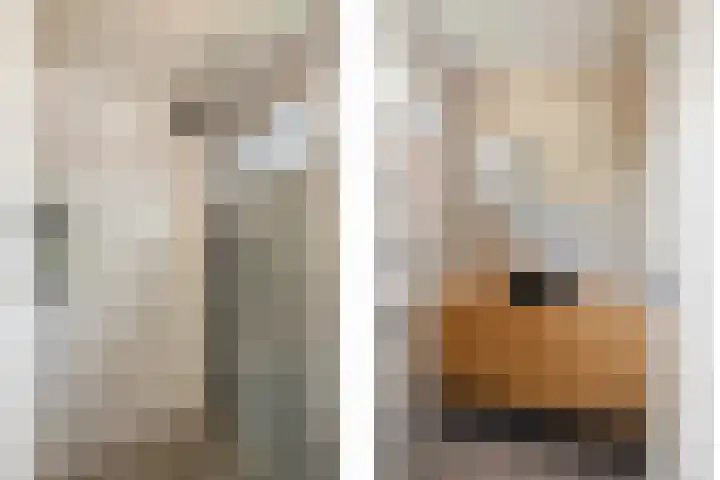 Helmichstraat 14 Luttenberg thumbnail 21