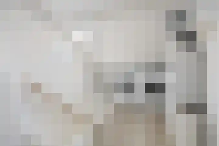 Helmichstraat 14 Luttenberg thumbnail 24
