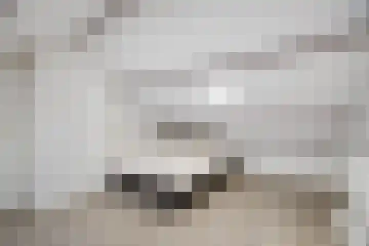 Helmichstraat 14 Luttenberg thumbnail 25