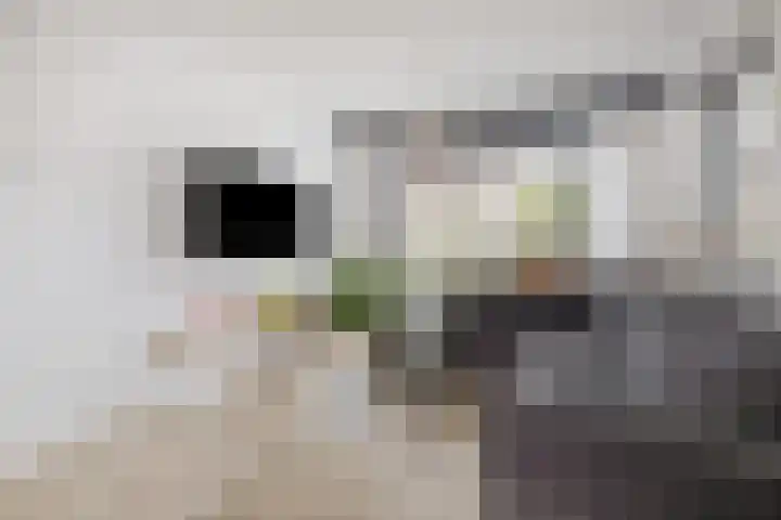 Helmichstraat 14 Luttenberg thumbnail 6