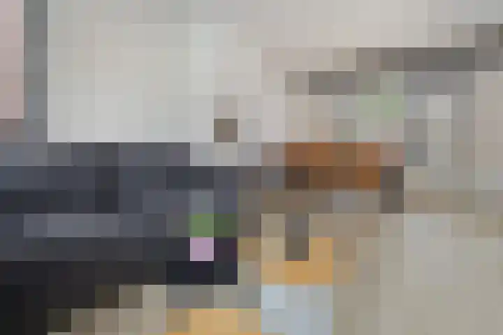 Helmichstraat 14 Luttenberg thumbnail 7