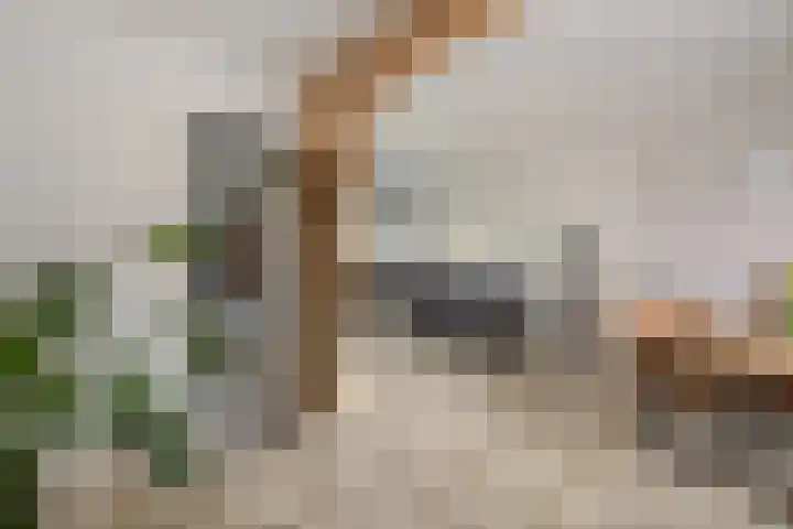 Helmichstraat 14 Luttenberg thumbnail 9
