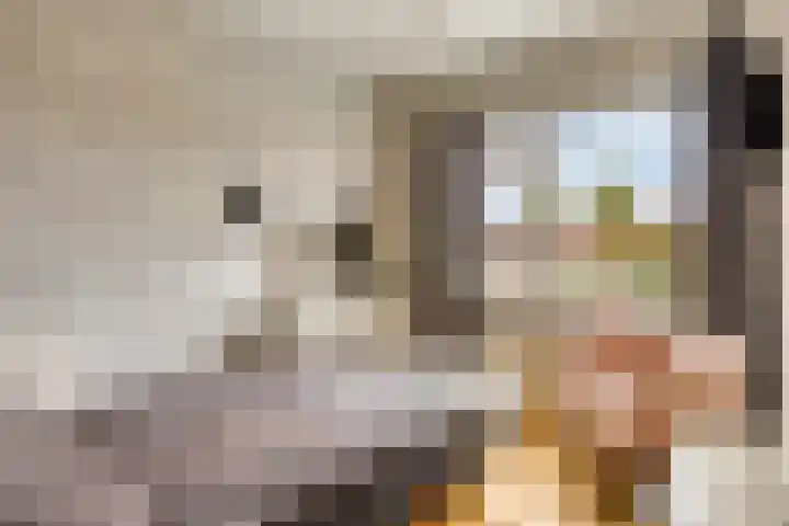Helmichstraat 17 Baak thumbnail 18