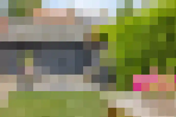 Helmichstraat 17 Baak thumbnail 21