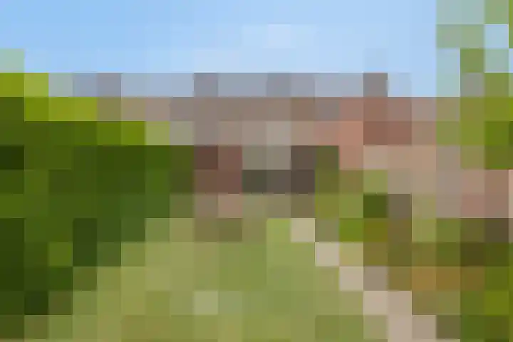 Helmichstraat 17 Baak thumbnail 22