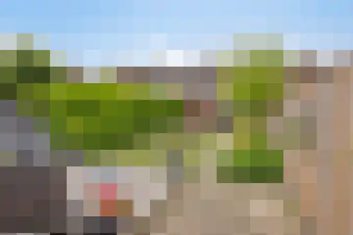 Helmichstraat 17 Baak thumbnail 23