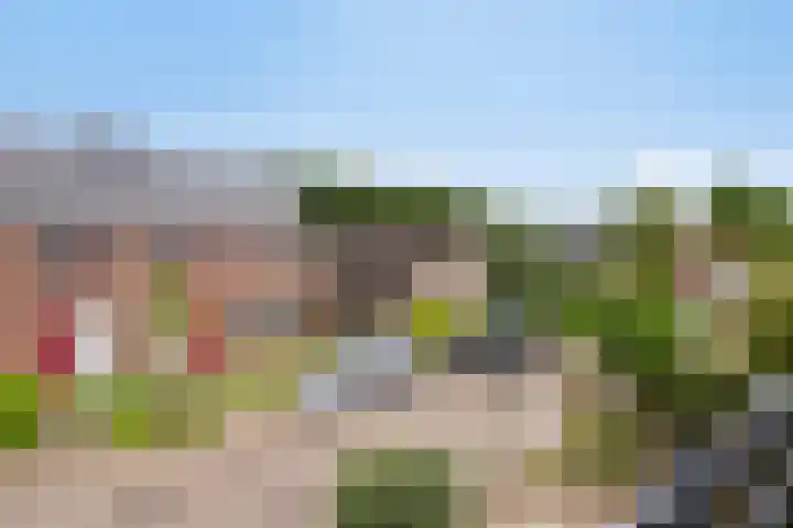 Helmichstraat 17 Baak thumbnail 24