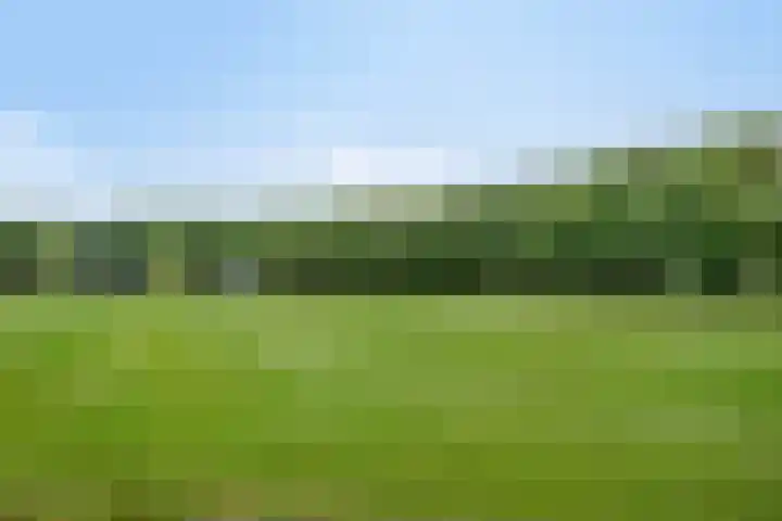 Helmichstraat 17 Baak thumbnail 26