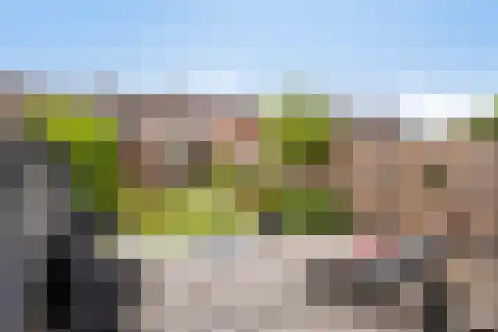 Helmichstraat 17 Baak foto 3