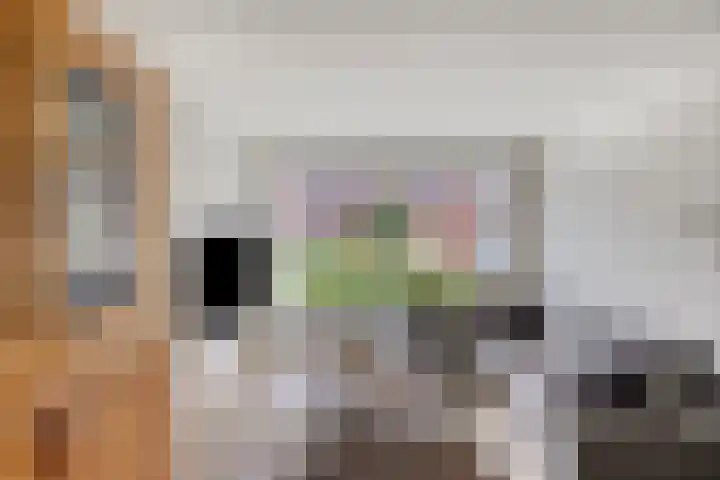 Helmichstraat 17 Baak thumbnail 8