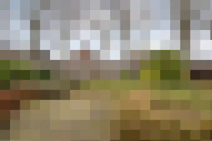 Helmichstraat 2 Luttenberg thumbnail 31