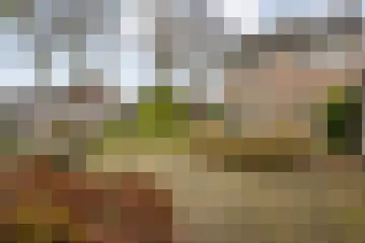 Helmichstraat 2 Luttenberg thumbnail 32